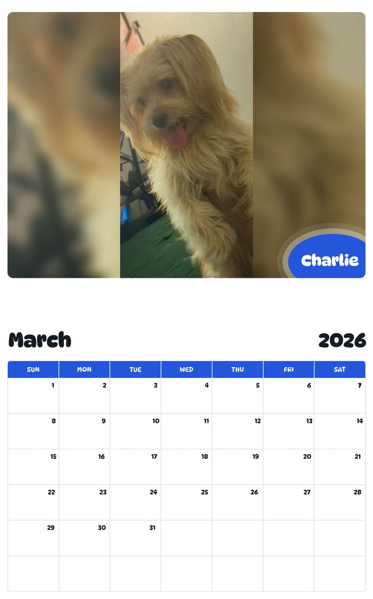 November 2025 - October 2026 Charlie - Pawidols Pet Calendar