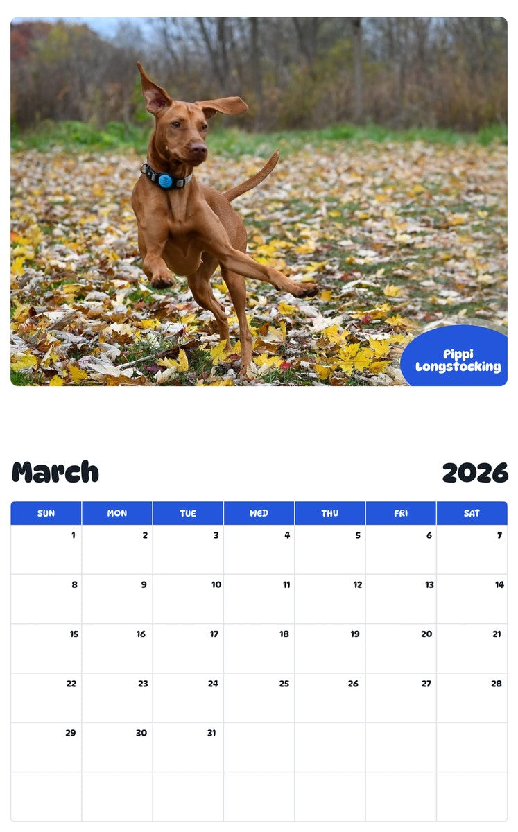 November 2025 - October 2026 Pippi Longstocking - Pawidols Pet Calendar