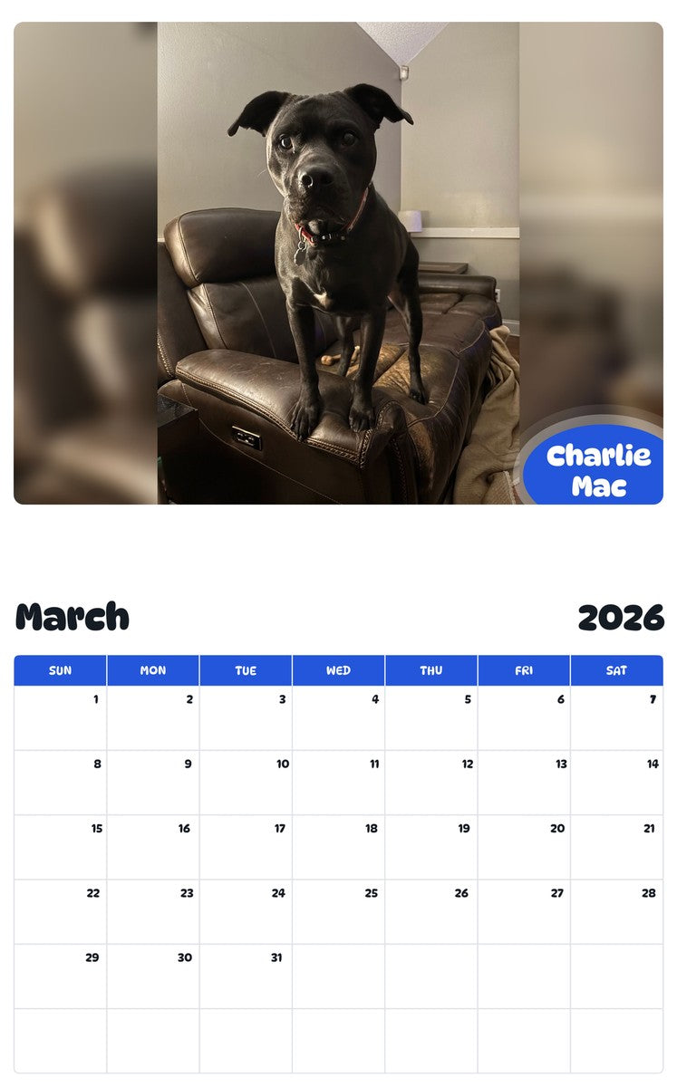November 2025 - October 2026 Charlie Mac - Pawidols Pet Calendar