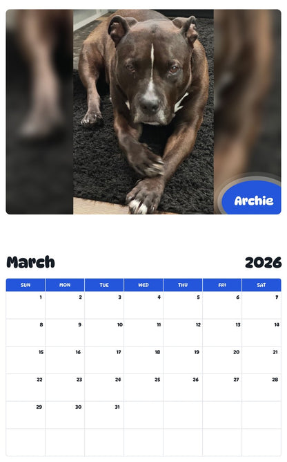 November 2025 - October 2026 Archie - Pawidols Pet Calendar