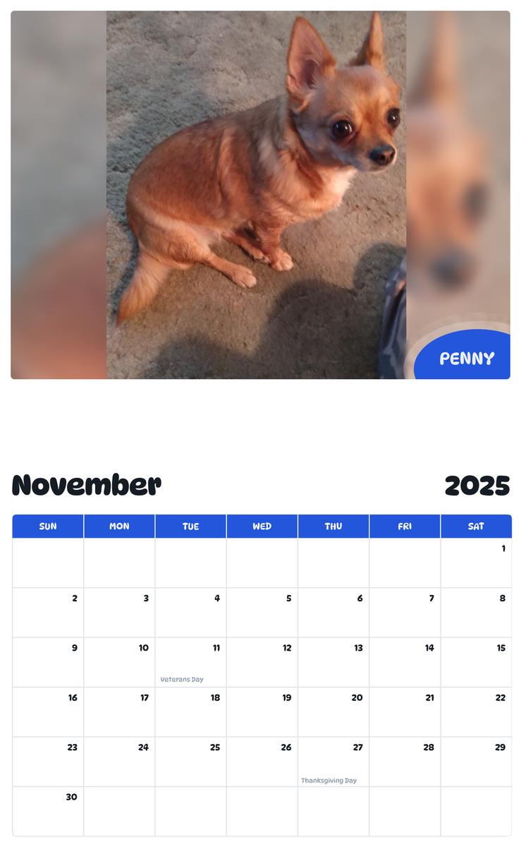 July 2025 - June 2026 PENNY - Pawidols Pet Calendar
