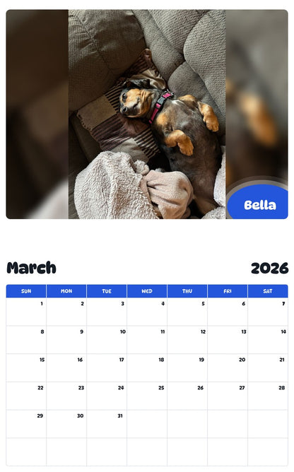 November 2025 - October 2026 Bella - Pawidols Pet Calendar