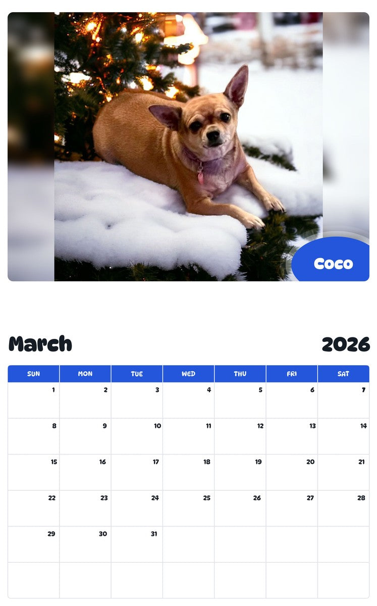 November 2025 - October 2026 Coco - Pawidols Pet Calendar