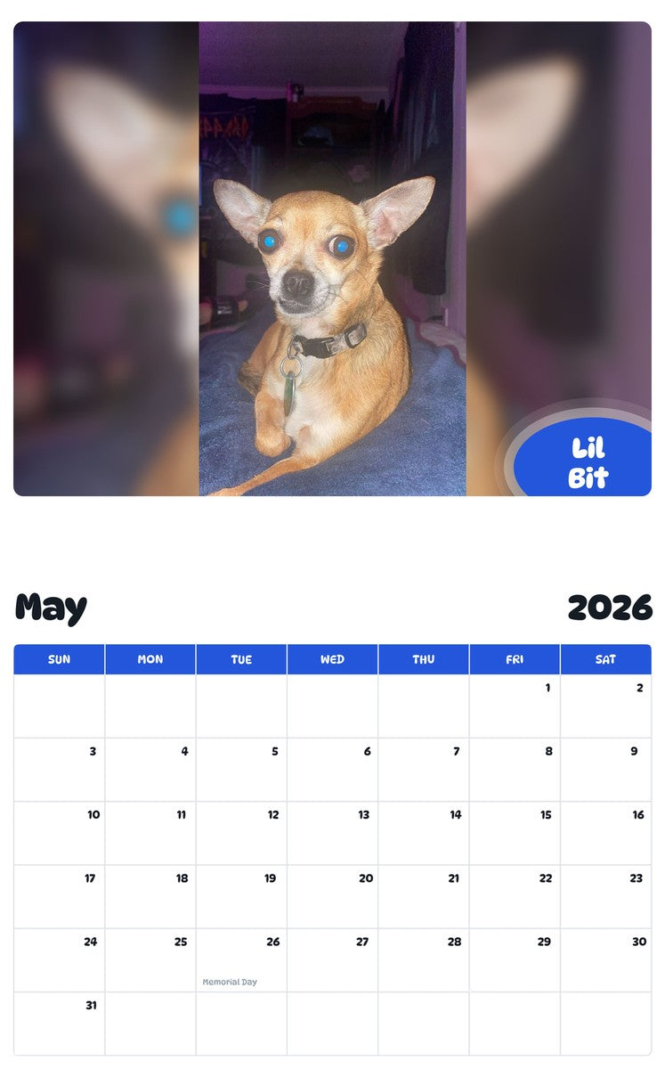 2026 - 2027 Lil Bit - Pawidols Pet Calendar