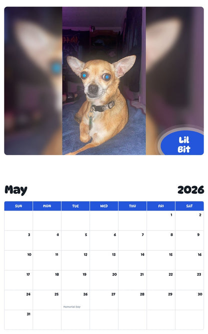 2026 - 2027 Lil Bit - Pawidols Pet Calendar