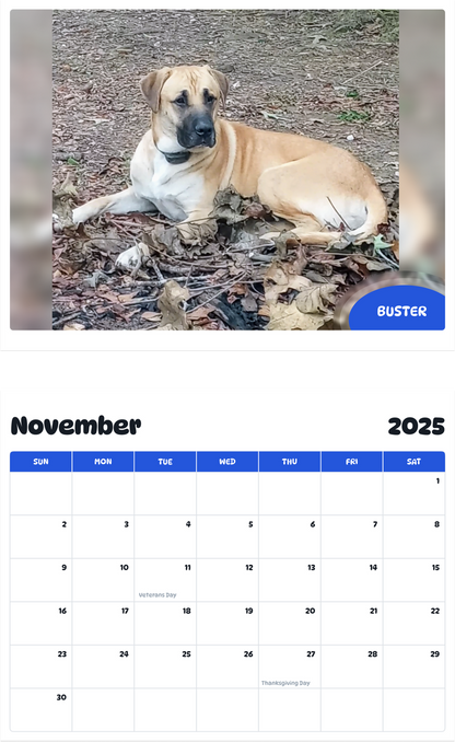 July 2025 - June 2026 Buster - Pawidols Pet Calendar