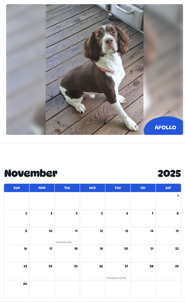 July 2025 - June 2026 Apollo - Pawidols Pet Calendar