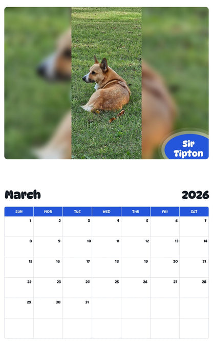 November 2025 - October 2026 Sir Tipton - Pawidols Pet Calendar