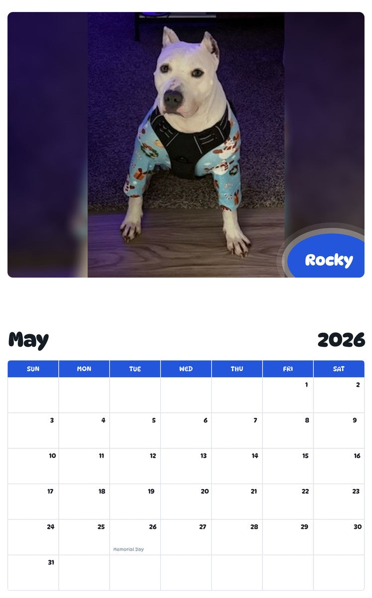 2026 - 2027 Rocky - Pawidols Pet Calendar