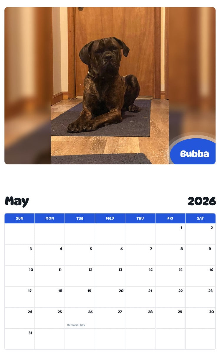 2026 - 2027 Bubba - Pawidols Pet Calendar