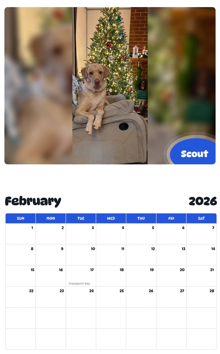November 2025 - October 2026 Scout - Pawidols Pet Calendar