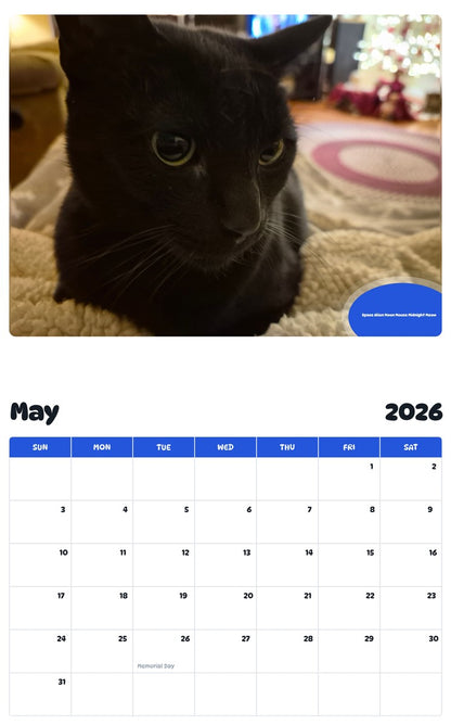 2026 - 2027 Space Alien Moon Mouse Midnight Meow - Pawidols Pet Calendar