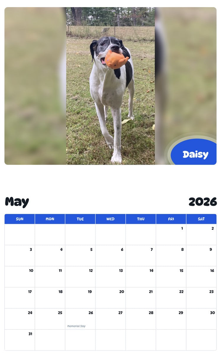 2026 - 2027 Daisy - Pawidols Pet Calendar