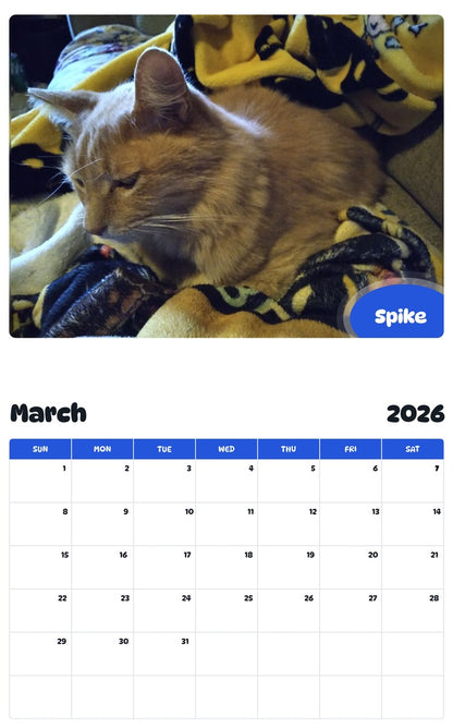 November 2025 - October 2026 Spike - Pawidols Pet Calendar