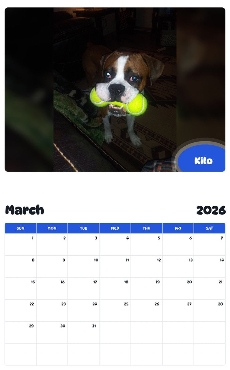 November 2025 - October 2026 Kilo - Pawidols Pet Calendar