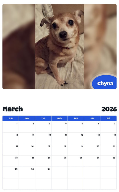 November 2025 - October 2026 Chyna - Pawidols Pet Calendar