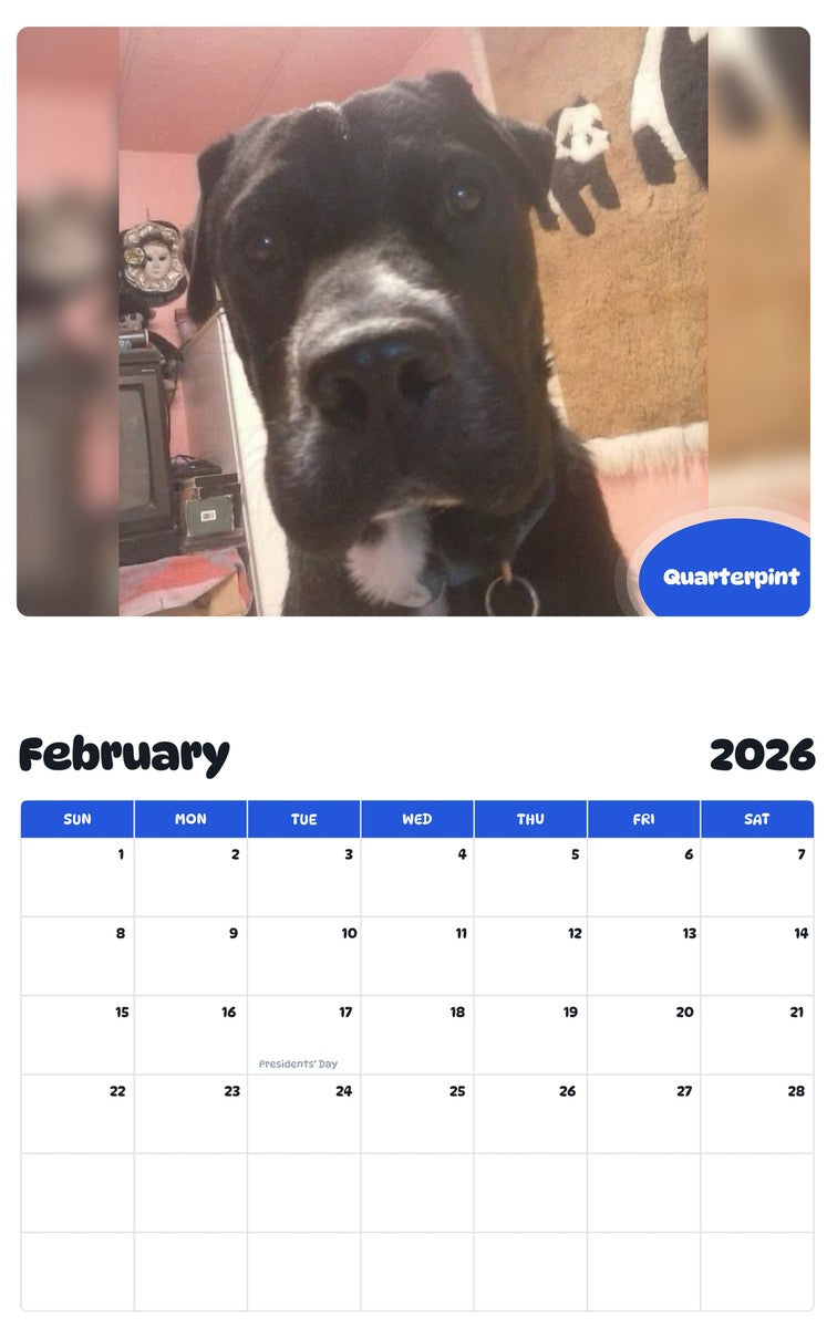 October 2025 - September 2026 Quarterpint - Pawidols Pet Calendar