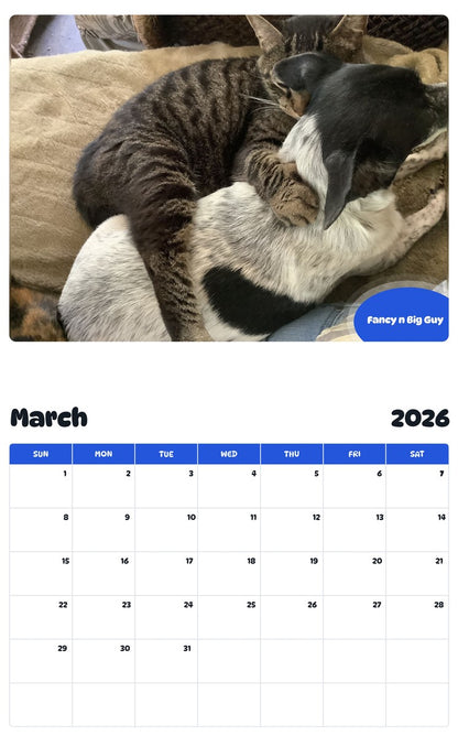 November 2025 - October 2026 Fancy n Big Guy - Pawidols Pet Calendar