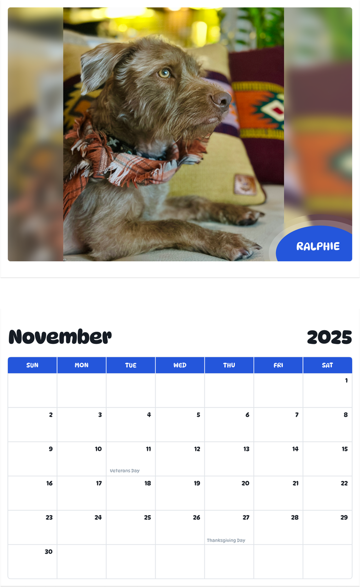 July 2025 - June 2026 Ralphie - Pawidols Pet Calendar