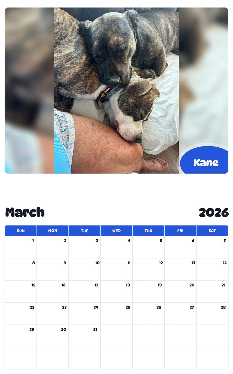 November 2025 - October 2026 Kane - Pawidols Pet Calendar