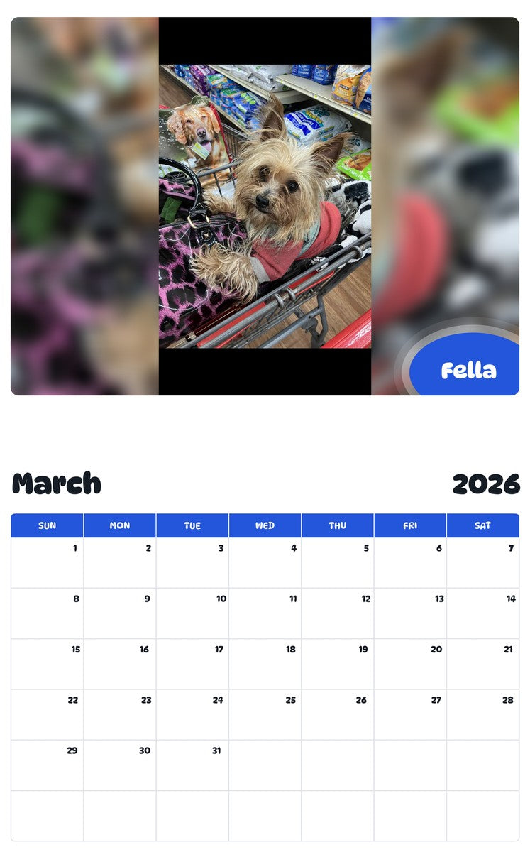 November 2025 - October 2026 Fella - Pawidols Pet Calendar
