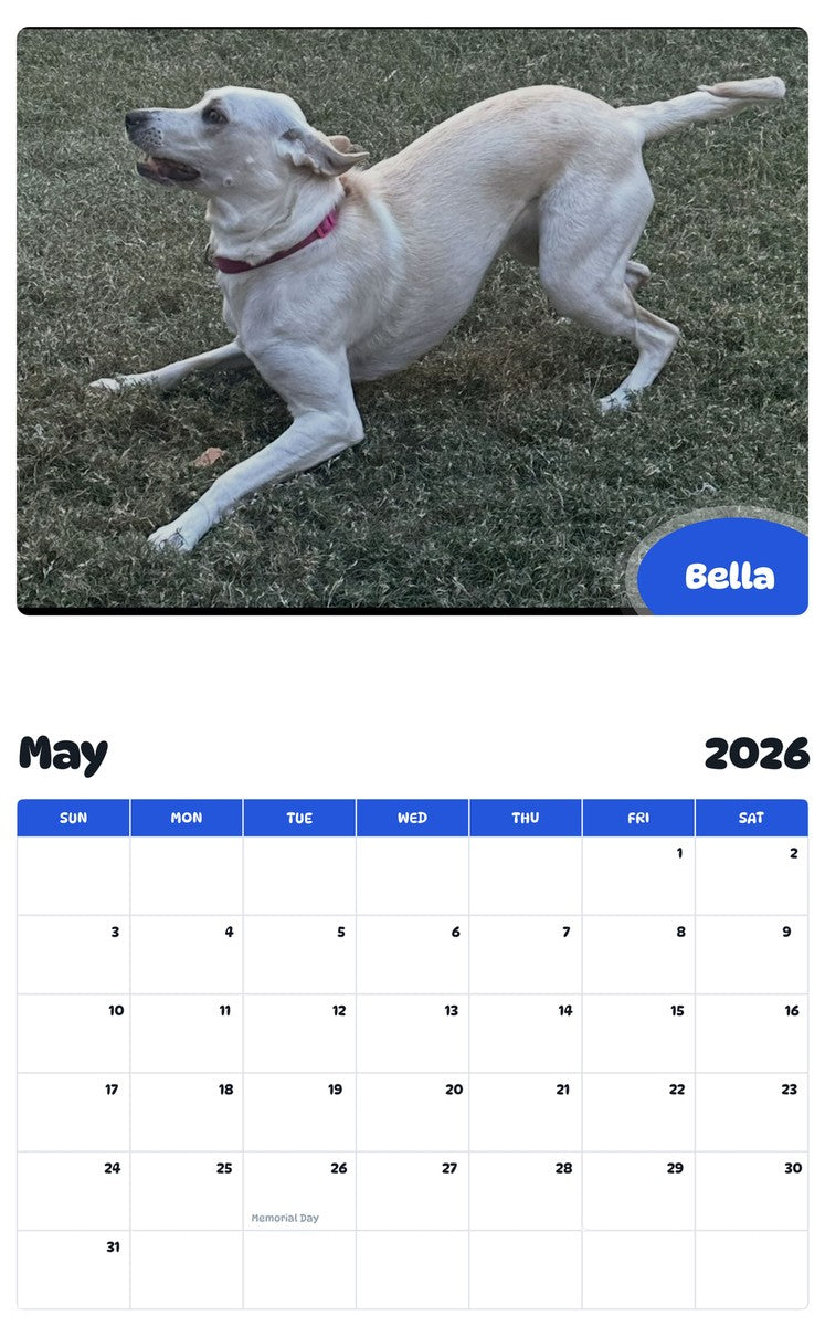 2026 - 2027 Bella - Pawidols Pet Calendar