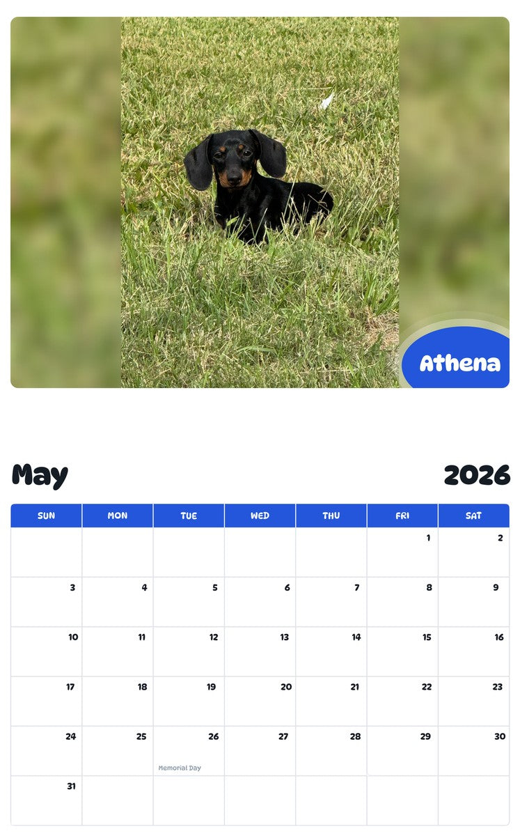 2026 - 2027 Athena - Pawidols Pet Calendar