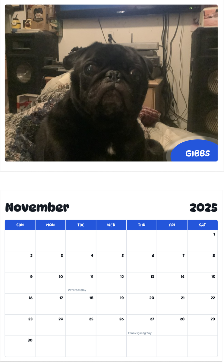 July 2025 - June 2026 Gibbs - Pawidols Pet Calendar