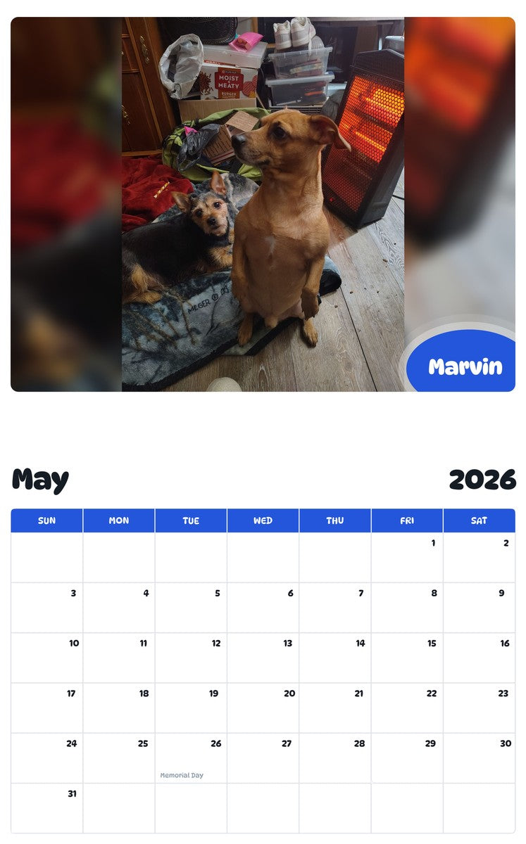 2026 - 2027 Marvin - Pawidols Pet Calendar
