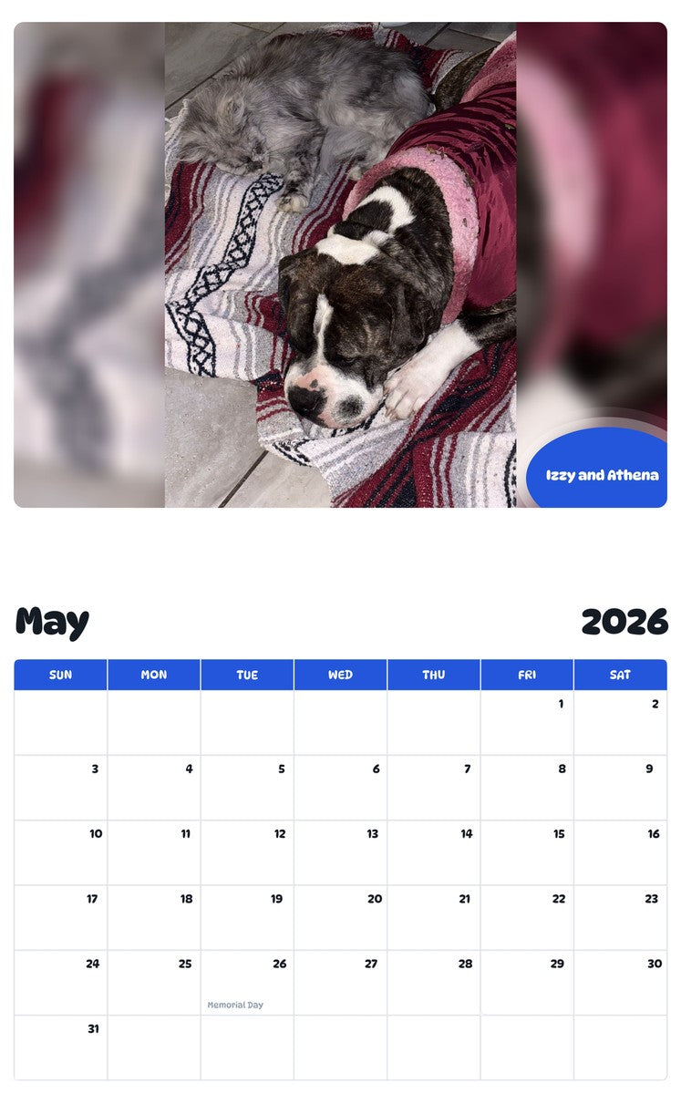 2026 - 2027 Izzy and Athena - Pawidols Pet Calendar