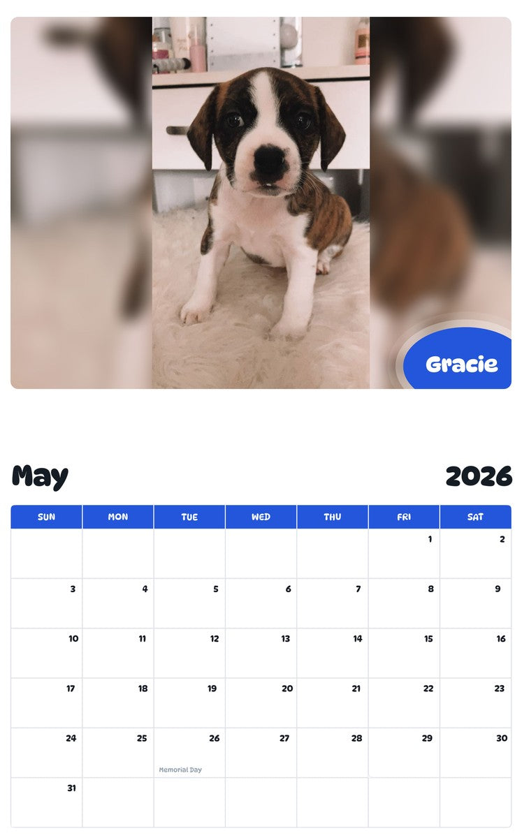 2026 - 2027 Gracie - Pawidols Pet Calendar
