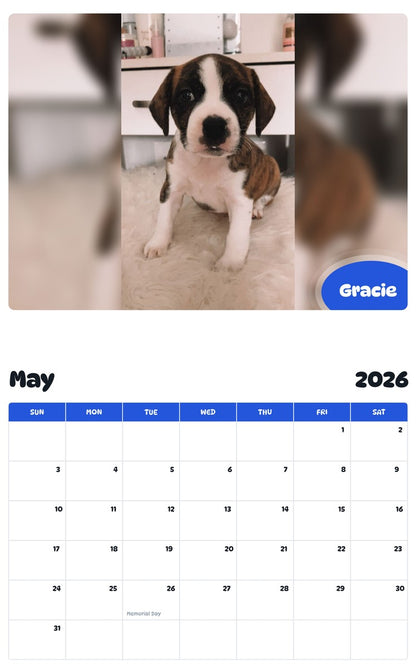 2026 - 2027 Gracie - Pawidols Pet Calendar