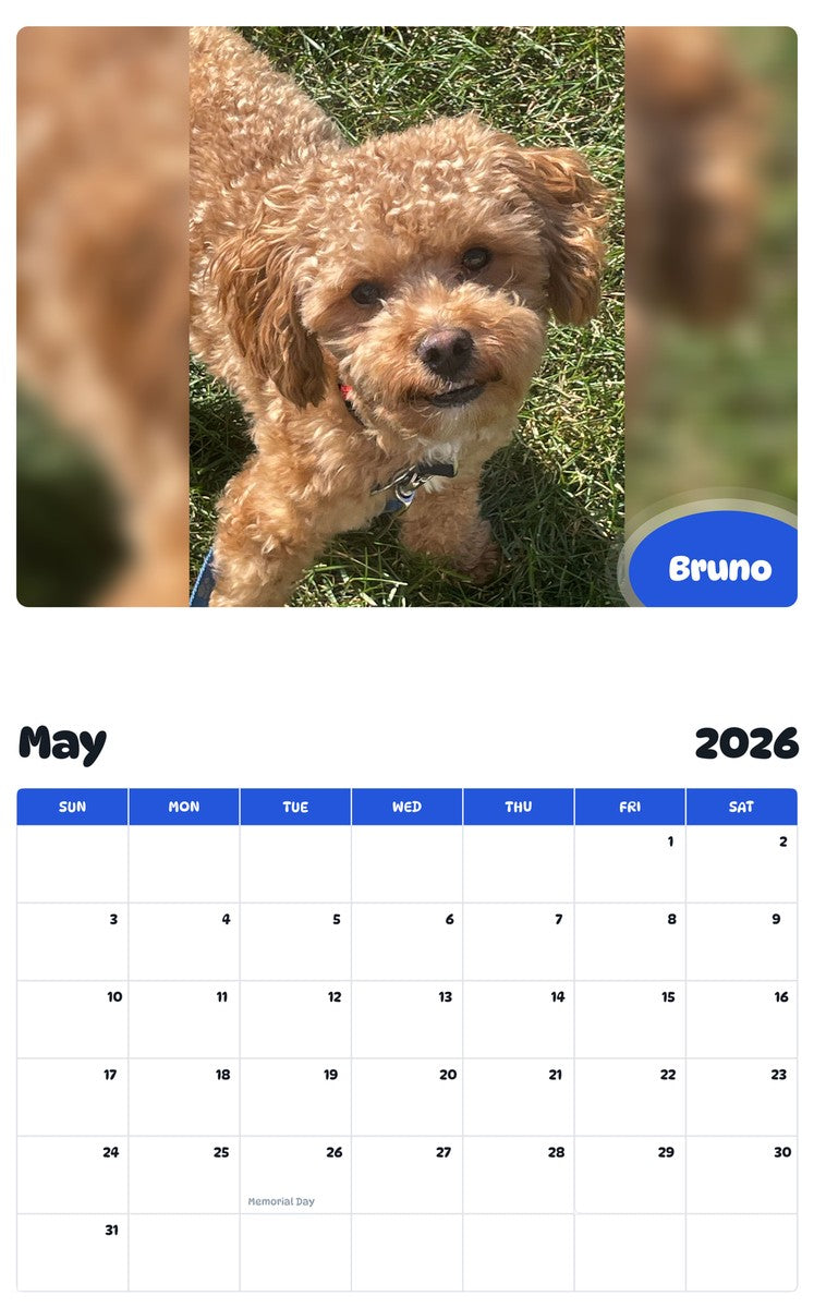 2026 - 2027 Bruno - Pawidols Pet Calendar
