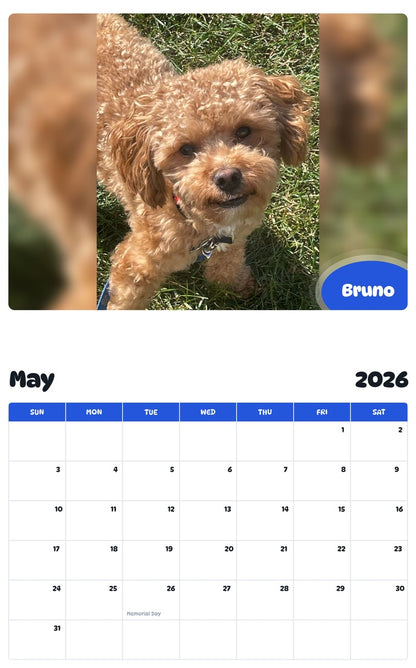 2026 - 2027 Bruno - Pawidols Pet Calendar