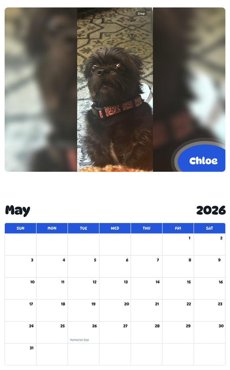2026 - 2027 Chloe - Pawidols Pet Calendar