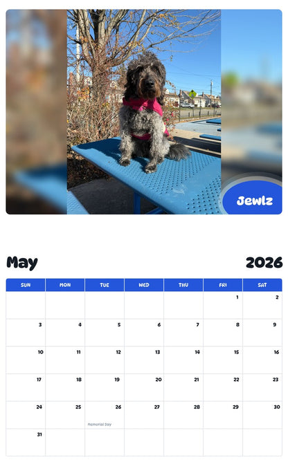 2026 - 2027 Jewlz - Pawidols Pet Calendar