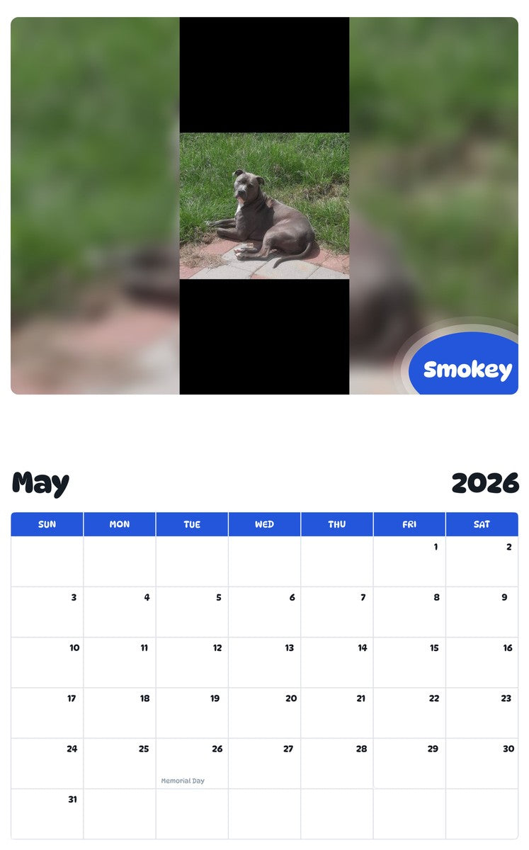 2026 - 2027 Smokey - Pawidols Pet Calendar