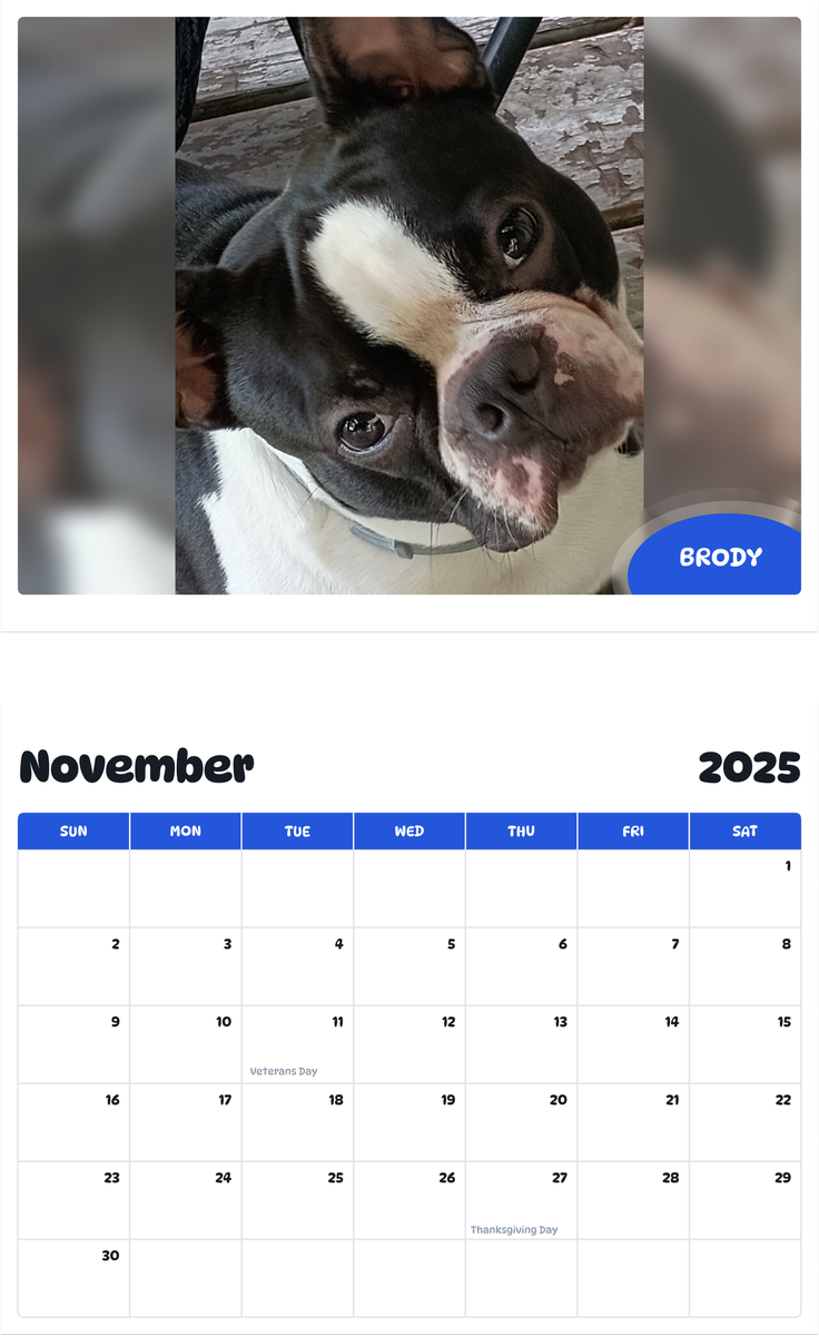 July 2025 - June 2026 Brody - Pawidols Pet Calendar