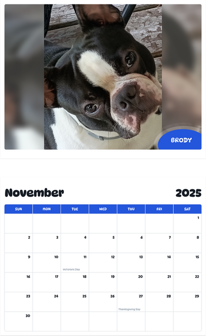 July 2025 - June 2026 Brody - Pawidols Pet Calendar