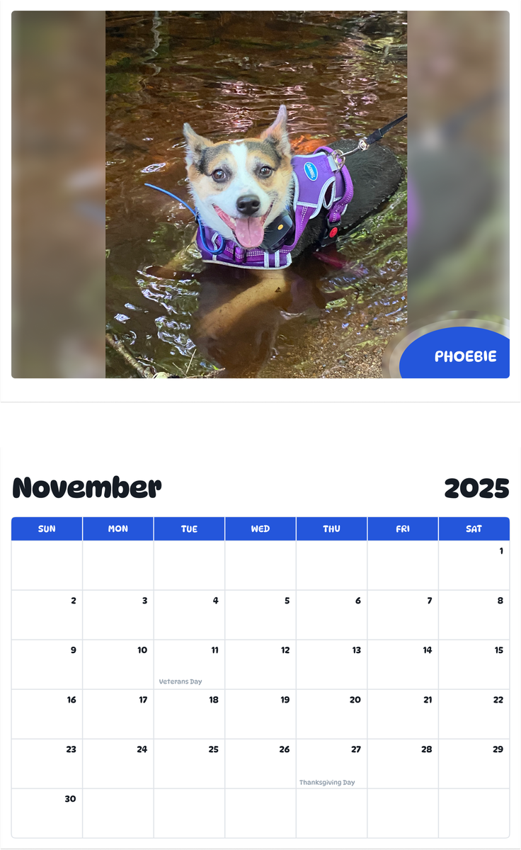 July 2025 - June 2026 Phoebie - Pawidols Pet Calendar