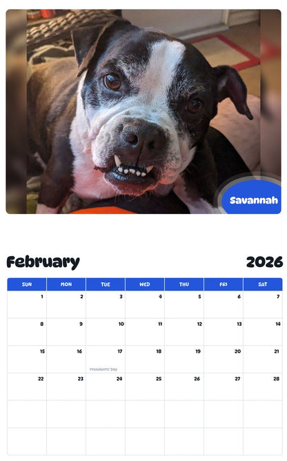 October 2025 - September 2026 Savannah - Pawidols Pet Calendar