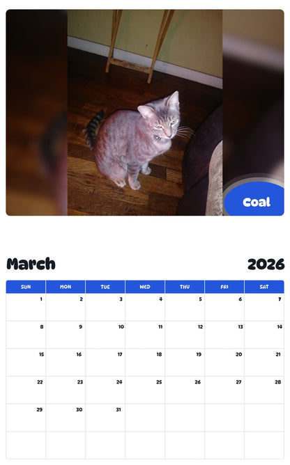 November 2025 - October 2026 Coal - Pawidols Pet Calendar