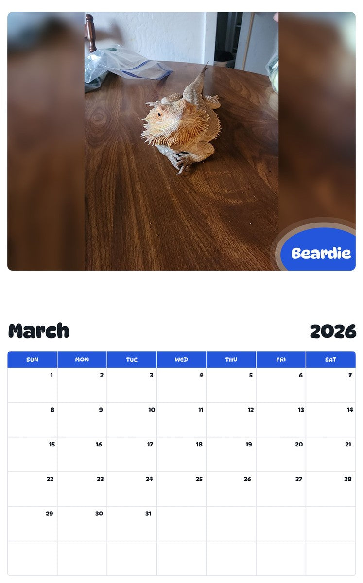 November 2025 - October 2026 Beardie - Pawidols Pet Calendar