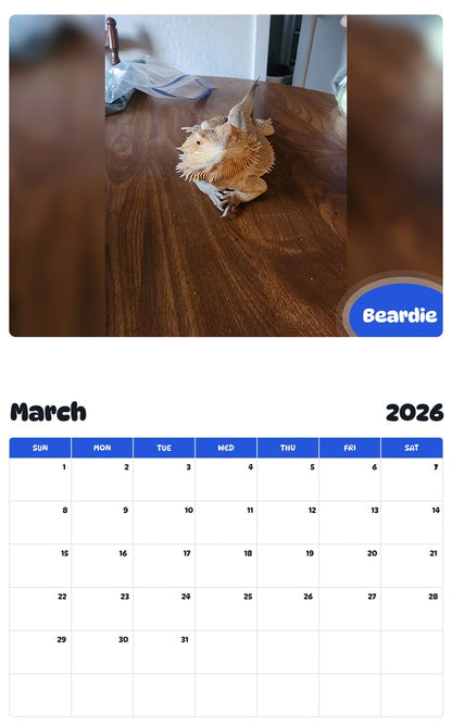 November 2025 - October 2026 Beardie - Pawidols Pet Calendar