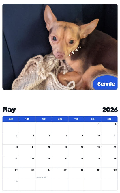 2026 - 2027 Bennie - Pawidols Pet Calendar