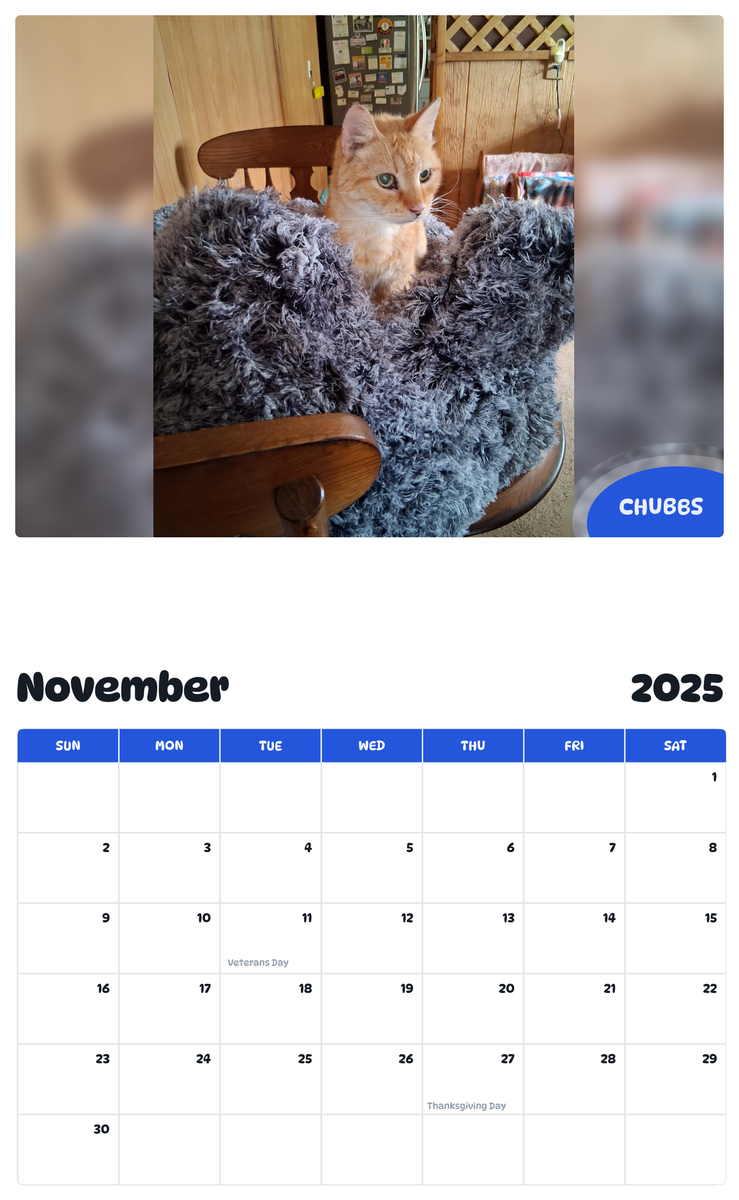 July 2025 - June 2026 Chubbs - Pawidols Pet Calendar