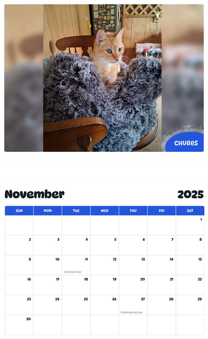 July 2025 - June 2026 Chubbs - Pawidols Pet Calendar