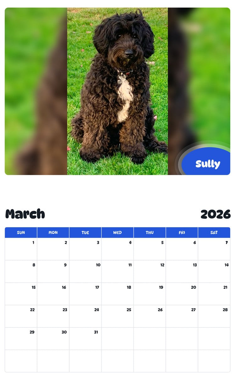 November 2025 - October 2026 Sully - Pawidols Pet Calendar