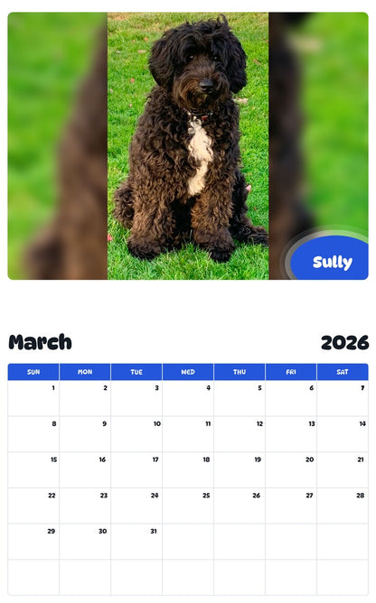 November 2025 - October 2026 Sully - Pawidols Pet Calendar