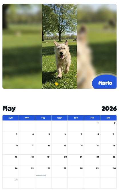 2026 - 2027 Mario - Pawidols Pet Calendar